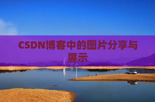 CSDN博客中的图片分享与展示